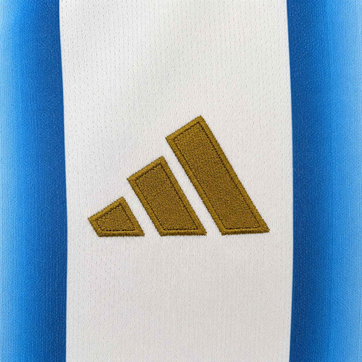 Maglia Argentina Home 2026